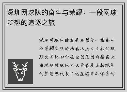 深圳网球队的奋斗与荣耀：一段网球梦想的追逐之旅